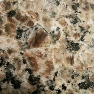 Meet your Posher, Elisa